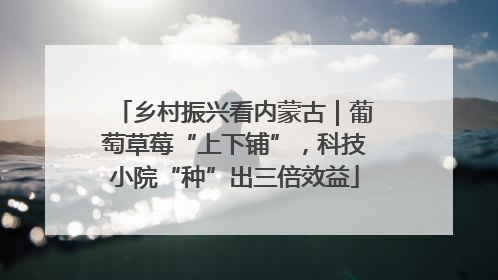 乡村振兴看内蒙古｜葡萄草莓“上下铺”，科技小院“种”出三倍效益