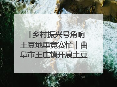 乡村振兴号角响 土豆地里竞赛忙｜曲阜市王庄镇开展土豆收获劳动竞赛