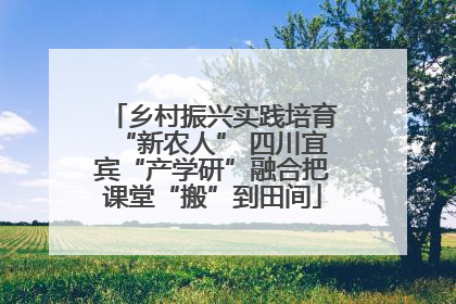 乡村振兴实践培育“新农人” 四川宜宾“产学研”融合把课堂“搬”到田间