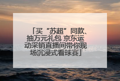 买“苏超”同款、抽万元礼包 京东运动采销直播间带你现场沉浸式看球赛