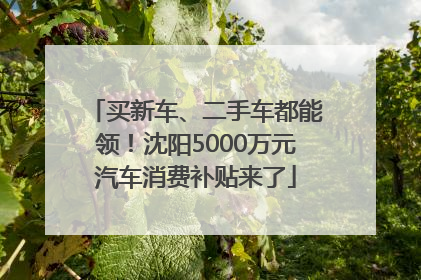 买新车、二手车都能领！沈阳5000万元汽车消费补贴来了