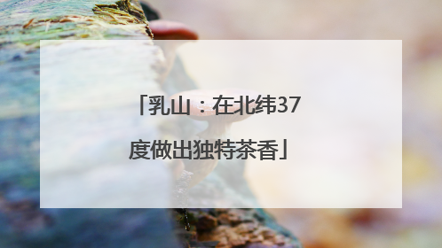 乳山：在北纬37度做出独特茶香