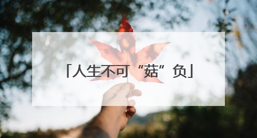 人生不可“菇”负