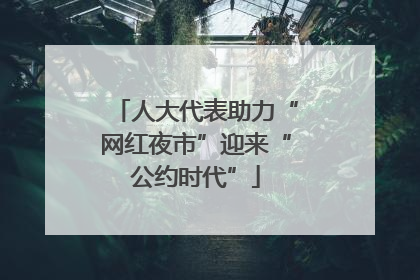 人大代表助力“网红夜市”迎来“公约时代”