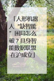人形机器人“缺智能”困局怎么破？具身智能数据联盟在沪成立