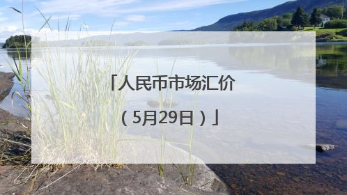 人民币市场汇价（5月29日）