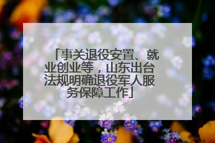 事关退役安置、就业创业等，山东出台法规明确退役军人服务保障工作
