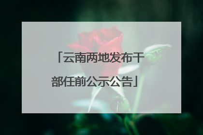 云南两地发布干部任前公示公告