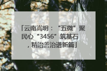 云南嵩明：“五微”聚民心“3456”筑基石，精治善治谱新篇