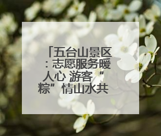 五台山景区：志愿服务暖人心 游客“粽”情山水共享假日美好