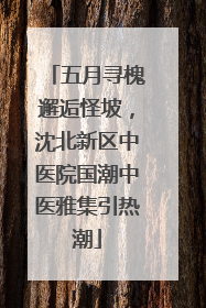 五月寻槐邂逅怪坡，沈北新区中医院国潮中医雅集引热潮
