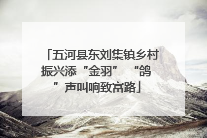 五河县东刘集镇乡村振兴添“金羽” “鸽”声叫响致富路