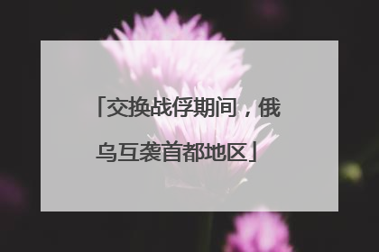交换战俘期间，俄乌互袭首都地区