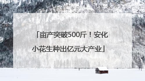 亩产突破500斤！安化小花生种出亿元大产业