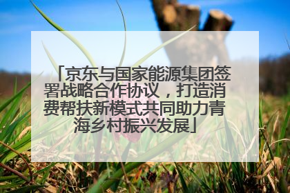 京东与国家能源集团签署战略合作协议，打造消费帮扶新模式共同助力青海乡村振兴发展