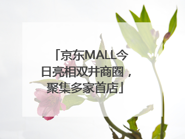 京东MALL今日亮相双井商圈，聚集多家首店