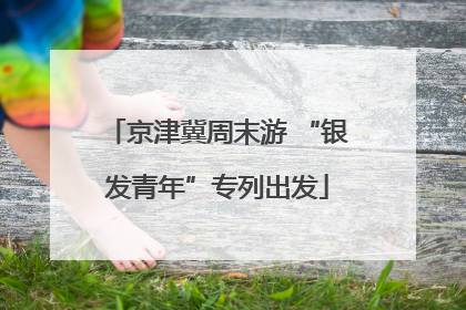 京津冀周末游 “银发青年”专列出发