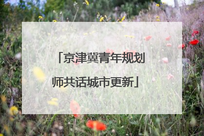 京津冀青年规划师共话城市更新