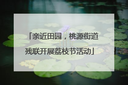 亲近田园，桃源街道残联开展荔枝节活动