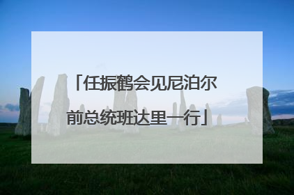 任振鹤会见尼泊尔前总统班达里一行
