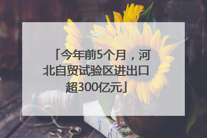 今年前5个月，河北自贸试验区进出口超300亿元