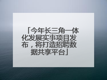 今年长三角一体化发展实事项目发布，将打造招聘数据共享平台