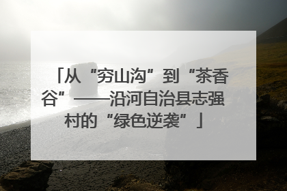 从“穷山沟”到“茶香谷”——沿河自治县志强村的“绿色逆袭”
