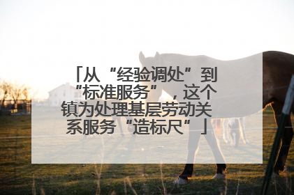 从“经验调处”到“标准服务”，这个镇为处理基层劳动关系服务“造标尺”