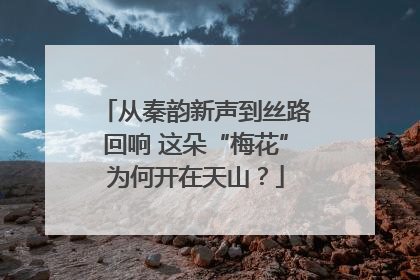 从秦韵新声到丝路回响 这朵“梅花”为何开在天山？