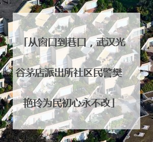 从窗口到巷口，武汉光谷茅店派出所社区民警樊艳玲为民初心永不改