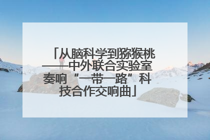 从脑科学到猕猴桃——中外联合实验室奏响“一带一路”科技合作交响曲