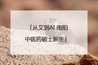 从艾到AI 南阳中医药破土新生