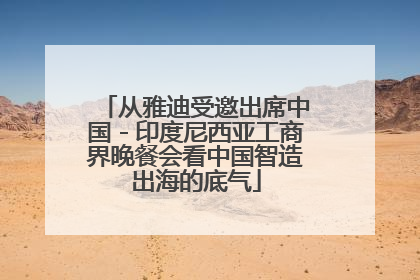 从雅迪受邀出席中国－印度尼西亚工商界晚餐会看中国智造出海的底气