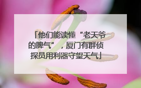 他们能读懂“老天爷的脾气”，厦门有群侦探员用利器守望天气