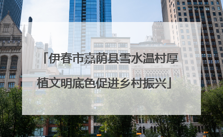 伊春市嘉荫县雪水温村厚植文明底色促进乡村振兴