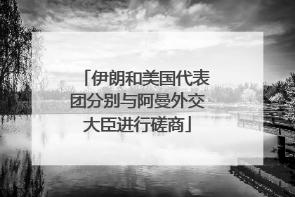 伊朗和美国代表团分别与阿曼外交大臣进行磋商