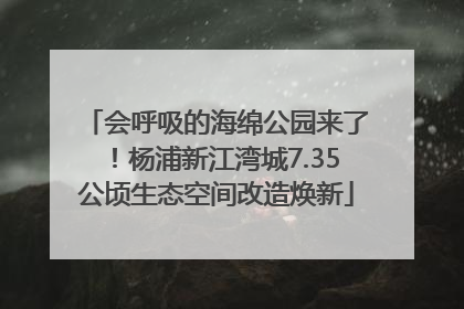 会呼吸的海绵公园来了！杨浦新江湾城7.35公顷生态空间改造焕新