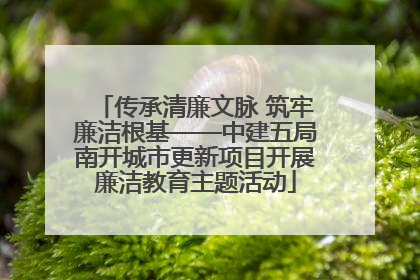 传承清廉文脉 筑牢廉洁根基——中建五局南开城市更新项目开展廉洁教育主题活动