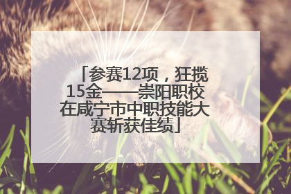 参赛12项，狂揽15金——崇阳职校在咸宁市中职技能大赛斩获佳绩