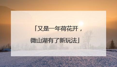 又是一年荷花开，微山湖有了新玩法