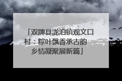 双牌县泷泊镇观文口村：粽叶飘香承古韵 乡情凝聚展新篇