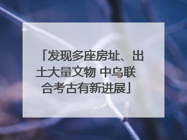 发现多座房址、出土大量文物 中乌联合考古有新进展