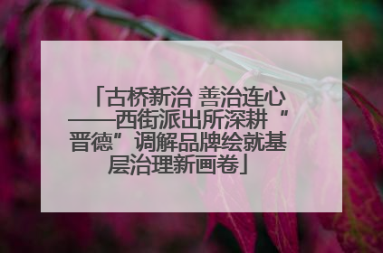 古桥新治 善治连心——西街派出所深耕“晋德”调解品牌绘就基层治理新画卷