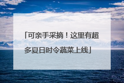 可亲手采摘！这里有超多夏日时令蔬菜上线