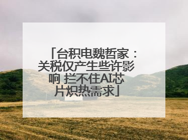 台积电魏哲家：关税仅产生些许影响 拦不住AI芯片炽热需求