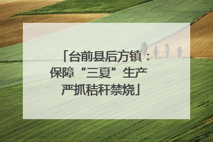 台前县后方镇：保障“三夏”生产 严抓秸秆禁烧