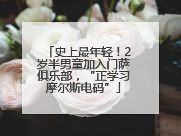 史上最年轻！2岁半男童加入门萨俱乐部，“正学习摩尔斯电码”
