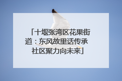 十堰张湾区花果街道：东风故里话传承 社区聚力向未来