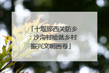 十堰郧西关防乡：沙沟村绘就乡村振兴文明画卷