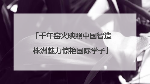 千年窑火映照中国智造 株洲魅力惊艳国际学子